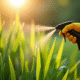 Main gantée pulvérisant de l'herbicide dans un jardin ensoleille